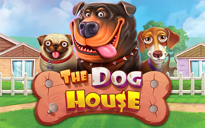 Start top slot The Dog House at Moonwin for free spins.